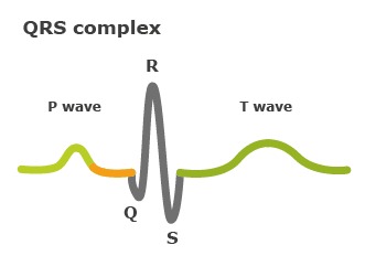 شکل موج الکتروکاردیوگراف