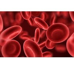 بيماري كم خوني چيست؟