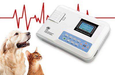 قیمت خرید دستگاه الکتروکاردیوگراف نوار قلب دامپزشکی CONTEC ECG100G